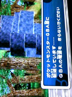 �Z���r�B���蒆
